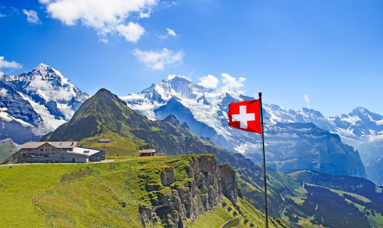 Szwajcaria, dokumentem podrózy uprawniającym do wjazdu jest dowód, trzeba mieć stosowane zaświadczenie lekarskie, zakaz wwożenia broni ostrej
