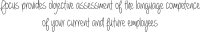 FOCUS Audit tool